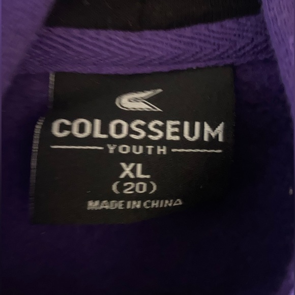 Colosseum Washington Hoodie Size Youth XL - Picture 2 of 4